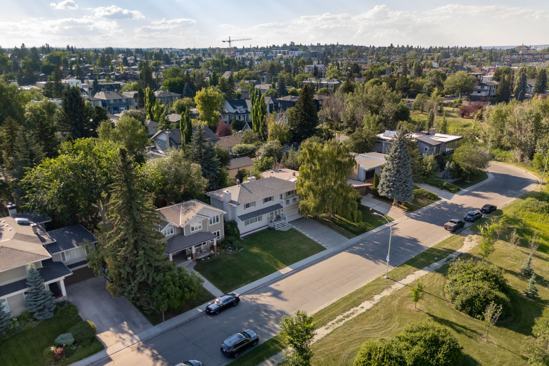 Tree-Lined Street